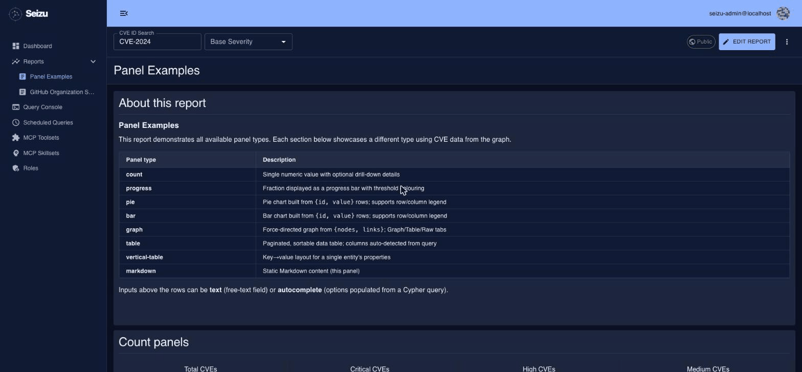 Seizu report dashboard with panel examples and CVE filters